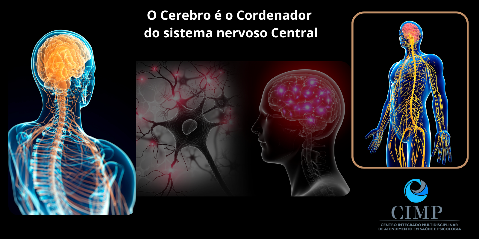 Pensando em saúde e o cérebro como responsável por controlar o nosso SNS (sistema nervoso central)